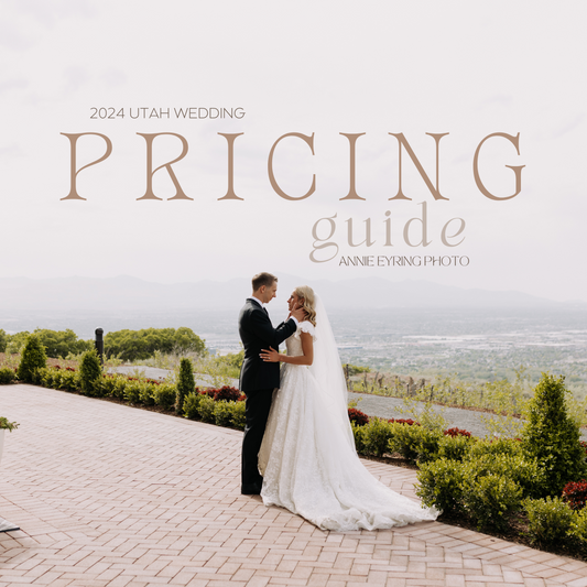 Pricing Guide Template